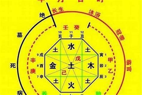 喜木火 忌金水|八字五行喜忌查询